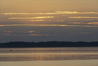 Sunset, near Chieming, Chiemsee, Chiemgau, Bavaria, Germany, Europe