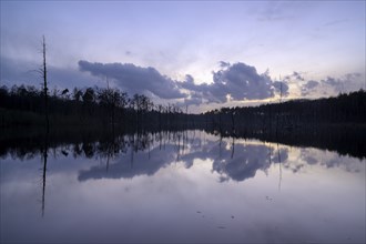 Mountain subsidence area, in winter, at sunset, with reflection, Bottrop, Ruhr area, North