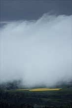 Fields partially obscured by dense fog under a cloudy sky, Wutachschlucht, Buchberg, Blumberg,