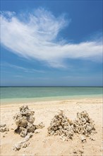 Piled up corals on the beach, blue sky, ocean, sea, nature, lonely, tourism, travel, holiday, beach