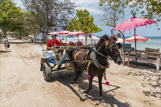 Traditional horse-drawn carriage, culture, everyday life, street scene, work, trade, transport,