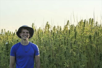 Young innovative farmer growing and checking fresh agricultural hemp in the summer countryside farm