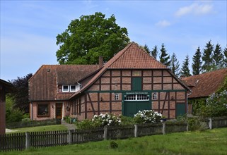 Historical Farm in Spring in the Village Dueshorn, Walsrode, Lower Saxony, Germany, Europe