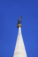 Raven with a golden ring on the Matthias Church in Budapest