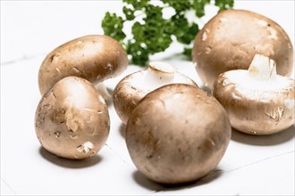 Brown champignon with parsley on a white background, close up