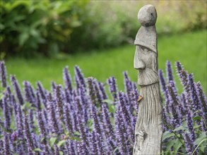 Wooden statue next to purple flowering plants in the garden, papenburg, emsland, germany