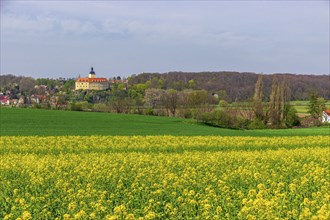 Hirschstein