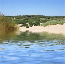 The beach rom the sea at formby with dunes covered in marram grass and vegetation with forest