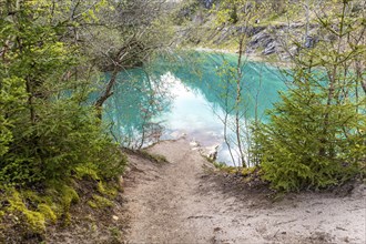 Blue lake in the Harz Mountains near Rübeland with turquoise-coloured water