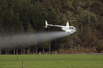 Helicopter spraying fertiliser on a crop in Westland, New Zealand, Oceania