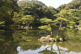 Pond in Japanese garden in Kyoto with sunshine