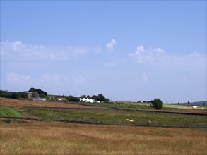 A panoramic view of grass covered fields with cows near blackshaw head in west yorkshire with