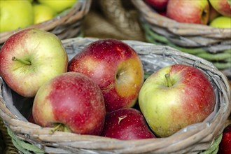 Market stall with orchard apples in a basket