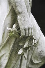 Cemetery Hand with Rose Mourning