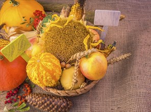 Autumn image with the harvest products from the field and forest arranged in a wicker basket, on a