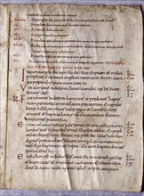 Biblical manuscript of Latin Vulgate written on vellum, 10th Century, England. Used with permission