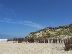 Branches on the beach in front of a grassy dune, blue sky and calm sea, spiekeroog, east frisia,