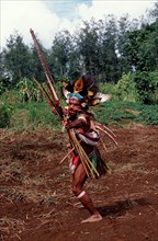 Huli wig man with bow, archer, Tari, Huli, Highlands, Papua New Guinea, Oceania