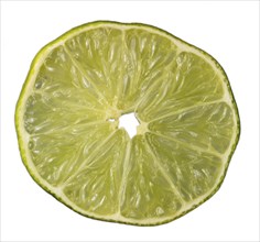 Slice of an isolated green lemon (lat. Citrus) -