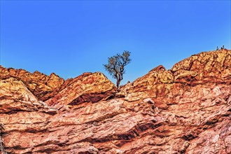 Simpsons Gap in the West MacDonnell Ranges National Park in the Northern Territory of Australia