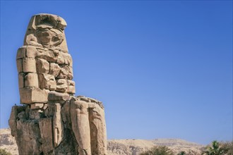 Behold the awe-inspiring Colossi of Memnon as they stand proudly in the soft morning light. These