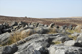 Exposed stones at the top of a cairn known as the millers grave on midgley moor in calderdale west