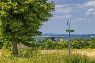 The signpost