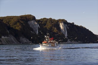 Fishing boat, königsstuhl, fishing boats, chalk, chalk cliffs, chalk coast, coast, rügen,