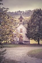 Image in retro style depicting autumn at countryside with walnut tree branches in foreground and