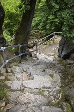 Impressions from the Bodetal Harz