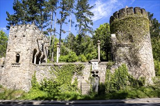Roseburg Harz near Ballenstedt Rieder