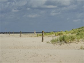 A sandy beach with posts, dune grass and a surfboard on the horizon, spiekeroog, east friesland,