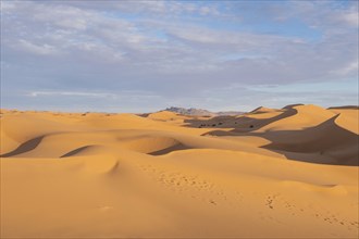 Morocco. . Beautiful sand dunes in the Sahara desert