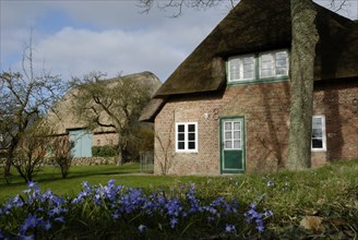 Frisian house in Nieblum, Föhr, Schleswig-Holstein, Germany, Europe