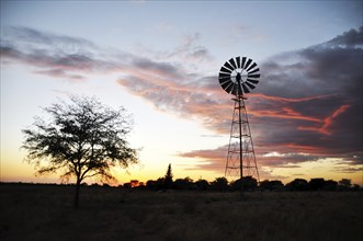 Windmill on a farm in the Namib Desert, Namibia, Africa