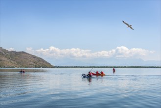 Kayaking on Scadar Lake at summer day in Montenegro