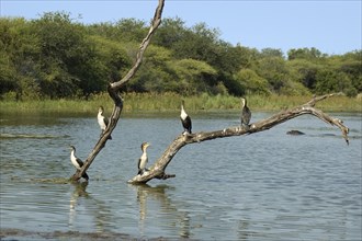 A fresh water lake in Africa