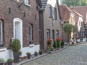 Cobbled alley lined with brick houses with potted plants, quiet and charming atmosphere,