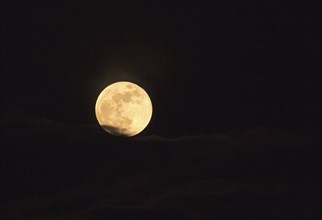 Full Moon, a Blue Moon, Blood Moon and also a Supermoon, rising behind cloud on 31 January 2018