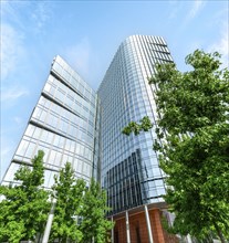 Trees near office building in Warsaw, Poland, Europe