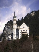 Neuschwanstein Castle near Füssen, Bavaria, Germany, Europe