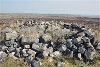 The exposed stones at the top of a cairn known as the millers grave on midgley moor in calderdale