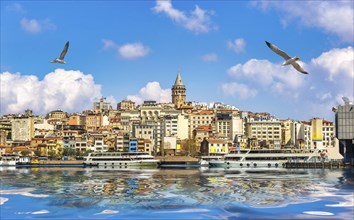 Seagulls over Golden Horn with the view on Galata Tower and Istanbul