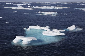 Ice floe in the canadian arctic