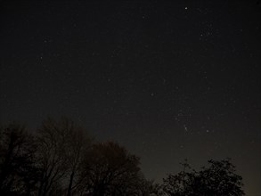 Winter night sky over Sussex, with constellations Orion, Gemini, Lupus and Taurus and silhoutted