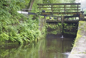 Old wooden lock gates on the rochdale canal overgrown with plants and ferns in a rural woodland