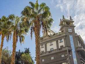 Modern clock tower next to tall palm trees, in front of a bright blue sky, tenerife, canary