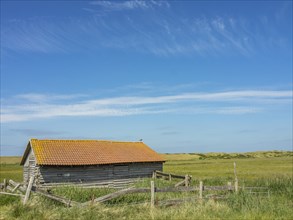 An old wooden barn with an orange-coloured tiled roof stands in a grassy field under a blue sky,