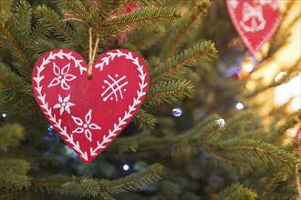 Red heart on spruce and pine background. Valentine's Day. Symbol of love. Copy space