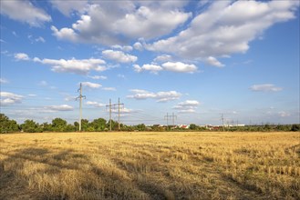 Electric poles on field of mown wheat in countryside